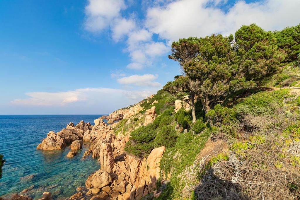 Villa Querida-Infinityholidays Costa Paradiso Kültér fotó